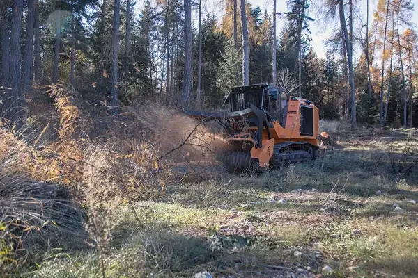 An orange FAE PT550 tracked carrier is clearing debris in a forest. It is mulching branches and brush, creating a cloud of dust and debris. The machine is operating on a slope, with tall trees visible in the background.